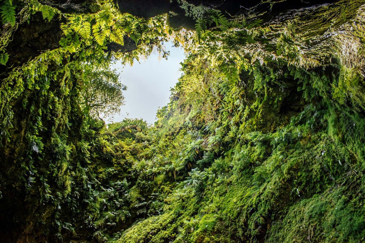 Akční letenky z Vídně na Azorské ostrovy – Terceira o letních prázdninách od 5 647 Kč